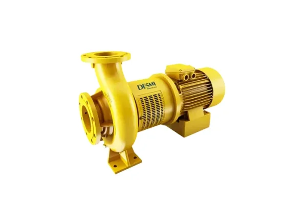 desmi rotan pumps